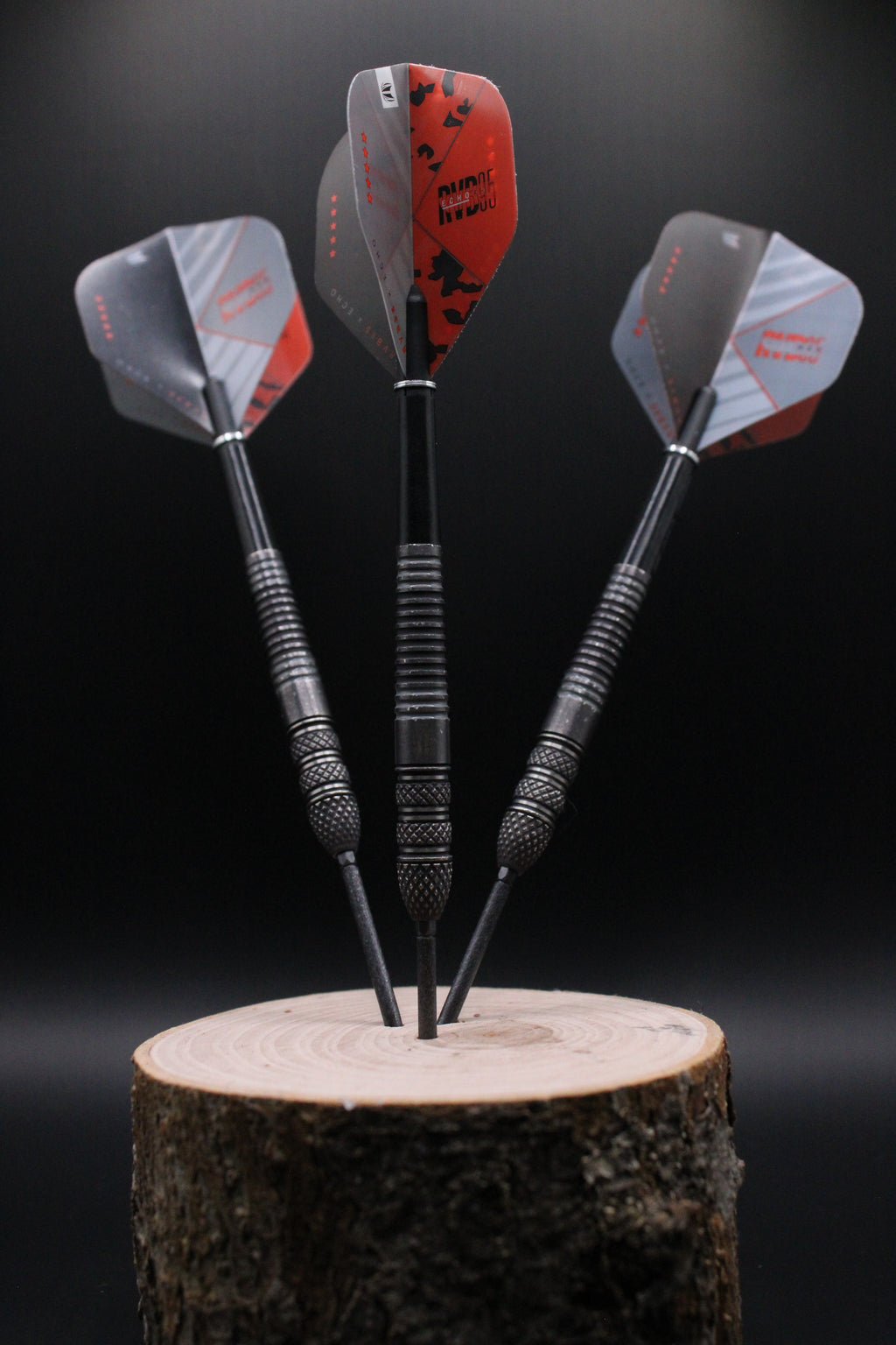 A) Target Raymond van Barneveld Echo 95% - 23 gram Swiss point