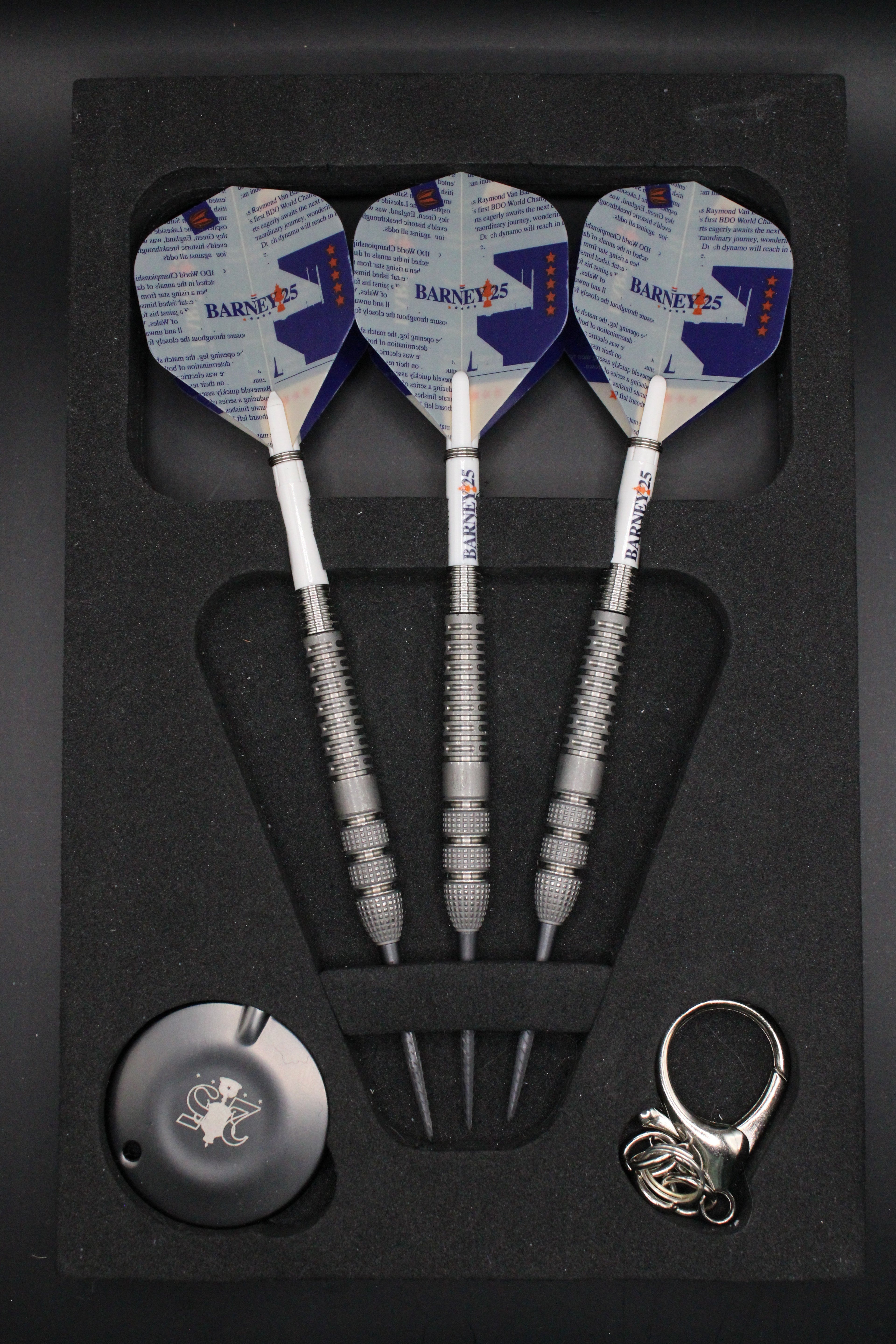 A) Target Raymond van Barneveld Barney 25 95% - 23 gram Swiss point